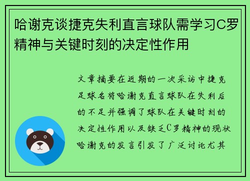 哈谢克谈捷克失利直言球队需学习C罗精神与关键时刻的决定性作用